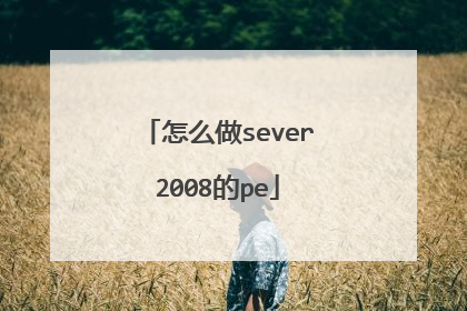 怎么做sever2008的pe