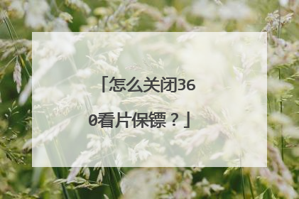 怎么关闭360看片保镖?