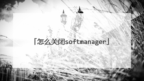 怎么关闭softmanager