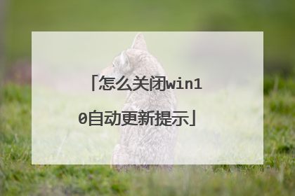 怎么关闭win10自动更新提示