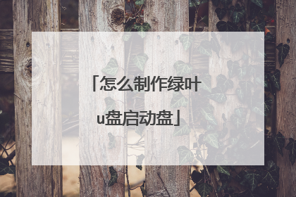 怎么制作绿叶u盘启动盘