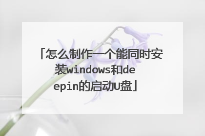 怎么制作一个能同时安装windows和deepin的启动U盘
