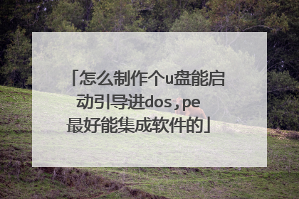 怎么制作个u盘能启动引导进dos,pe最好能集成软件的