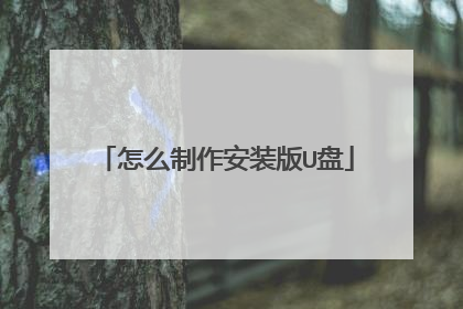 怎么制作安装版U盘
