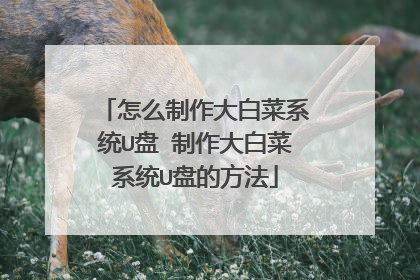 怎么制作大白菜系统U盘 制作大白菜系统U盘的方法