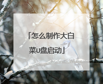怎么制作大白菜U盘启动
