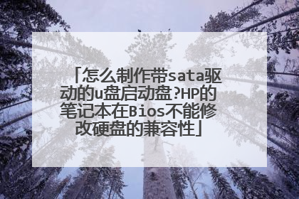 怎么制作带sata驱动的u盘启动盘?HP的笔记本在Bios不能修改硬盘的兼容性