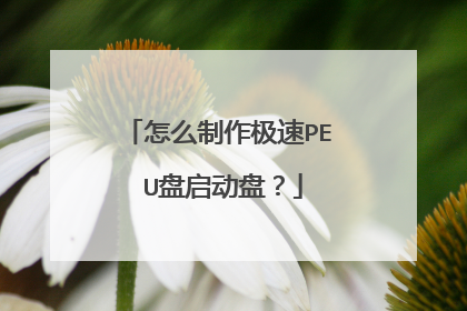 怎么制作极速PE U盘启动盘?