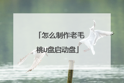 怎么制作老毛桃U盘启动盘