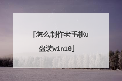 怎么制作老毛桃u盘装win10