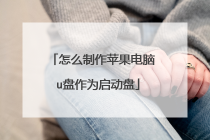 怎么制作苹果电脑u盘作为启动盘