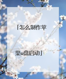 怎么制作苹果u盘启动