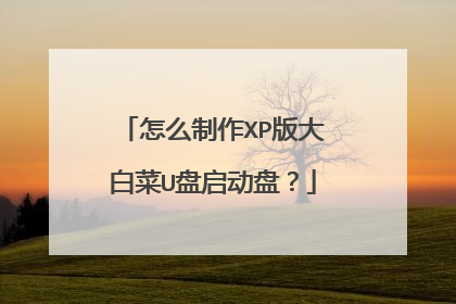 怎么制作XP版大白菜U盘启动盘?