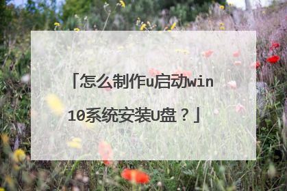 怎么制作u启动win10系统安装U盘？