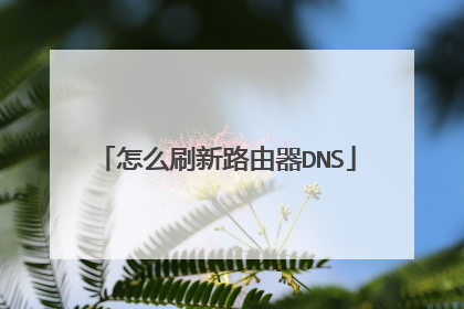 怎么刷新路由器DNS