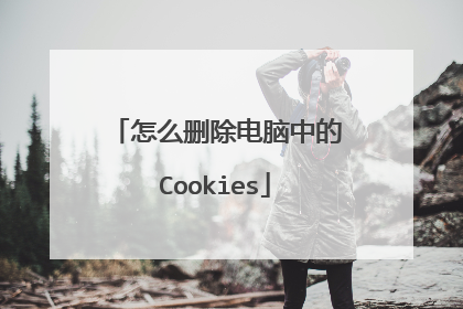 怎么删除电脑中的Cookies