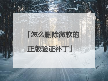 怎么删除微软的正版验证补丁