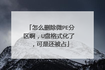 怎么删除微PE分区啊,U盘格式化了,可是还被占