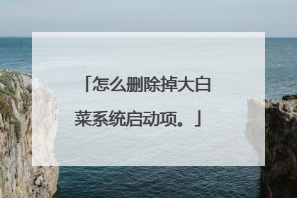 怎么删除掉大白菜系统启动项。