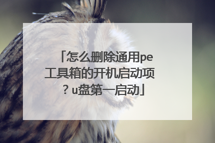 怎么删除通用pe工具箱的开机启动项？u盘第一启动