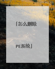 怎么删除PE系统
