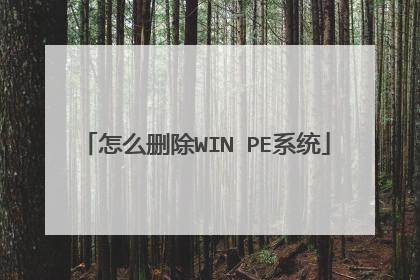 怎么删除WIN PE系统