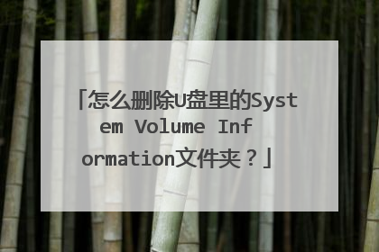 怎么删除U盘里的System Volume Information文件夹?