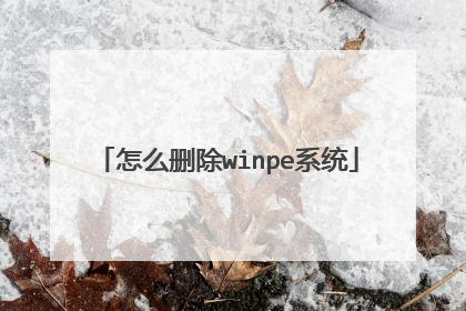怎么删除winpe系统