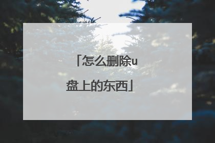 怎么删除u盘上的东西