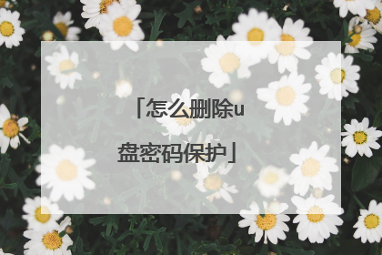 怎么删除u盘密码保护