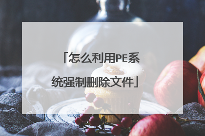 怎么利用PE系统强制删除文件