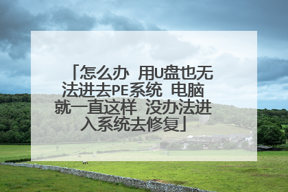 怎么办 用U盘也无法进去PE系统 电脑就一直这样 没办法进入系统去修复