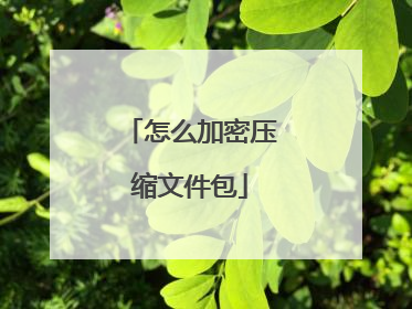 怎么加密压缩文件包