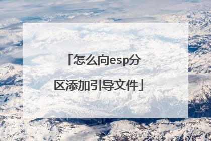 怎么向esp分区添加引导文件