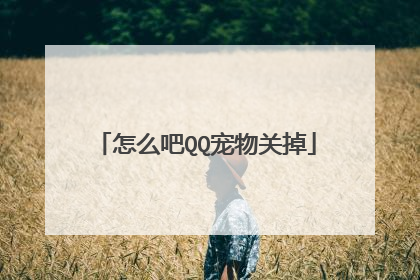 怎么吧QQ宠物关掉