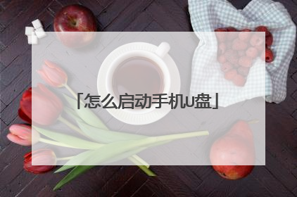 怎么启动手机U盘