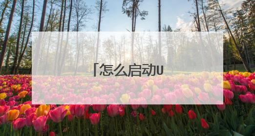 怎么启动U盘中的系统