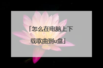 怎么在电脑上下载歌曲到u盘