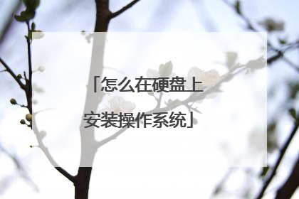 怎么在硬盘上安装操作系统