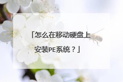 怎么在移动硬盘上安装PE系统？