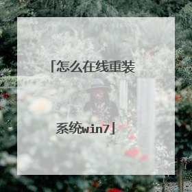 怎么在线重装系统win7