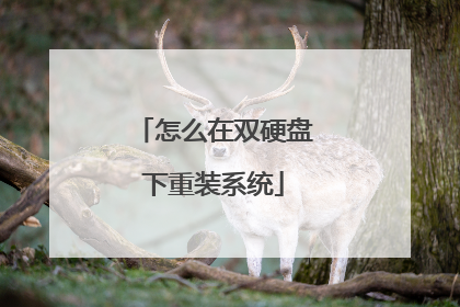 怎么在双硬盘下重装系统