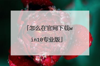 怎么在官网下载win10专业版