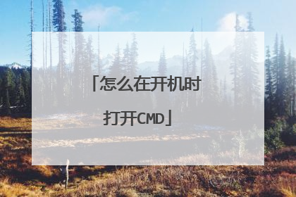 怎么在开机时打开CMD