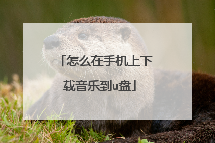 怎么在手机上下载音乐到u盘