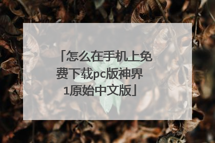 怎么在手机上免费下载pc版神界1原始中文版
