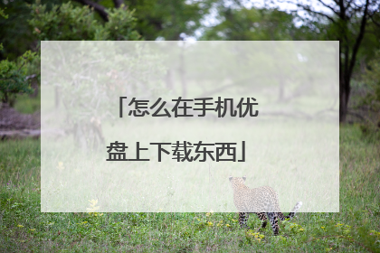 怎么在手机优盘上下载东西