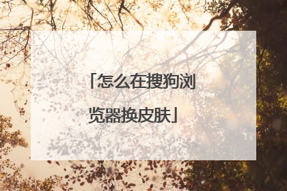 怎么在搜狗浏览器换皮肤