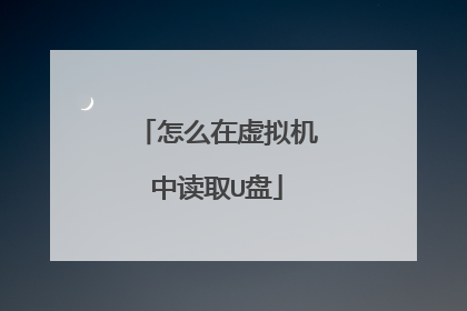 怎么在虚拟机中读取U盘