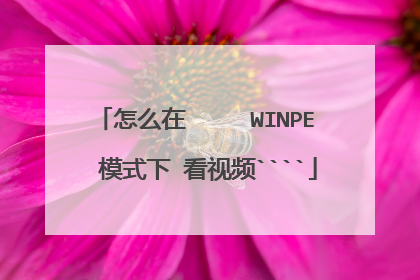 怎么在     WINPE  模式下 看视频````
